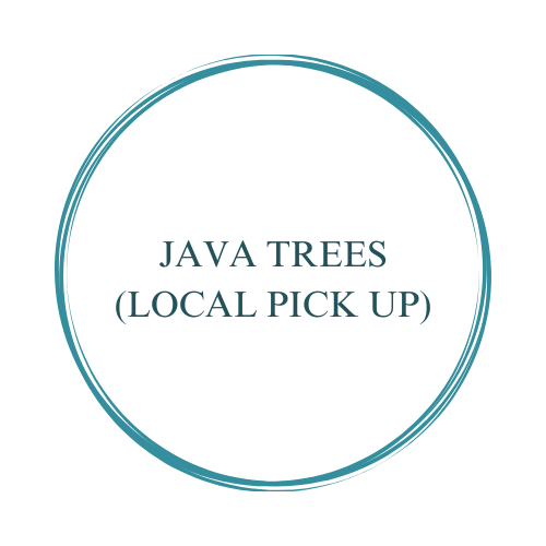 JAVA TREES - LOCAL PICK UP