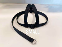 EZ-ON HARNESS & LEASH - SMALL (190g - 425g)