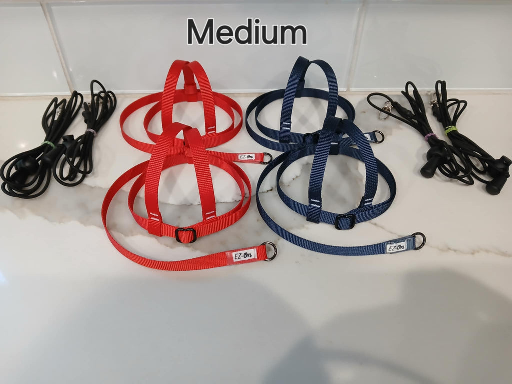 EZ-On Harness & Leash - MEDIUM (425g - 600g)
