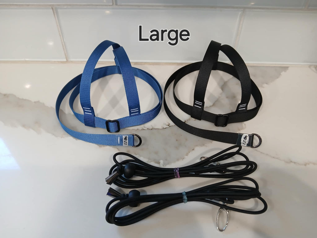 EZ-On Harness & Leash - LARGE (600g - 1000g)