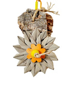 Blooming Cork Bark