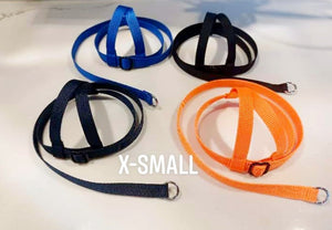 EZ-ON HARNESS & LEASH - XSMALL (110g - 190g)