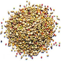 Zupreem Sensible Seed Small Birds 2 LB (907g)