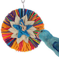Rainbow Raffia - SM