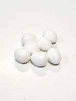 Finch/Canary Plastic Egg - White