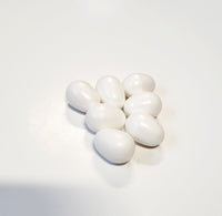 Parakeet/Cockatiel Plastic Egg - White