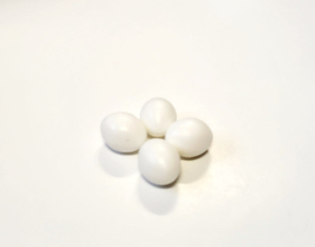 Large Conure Plastic Egg - White