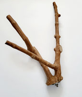 Java Multi Branch Perch - Medium