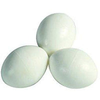 African Grey Plastic Egg - White (Hollow)