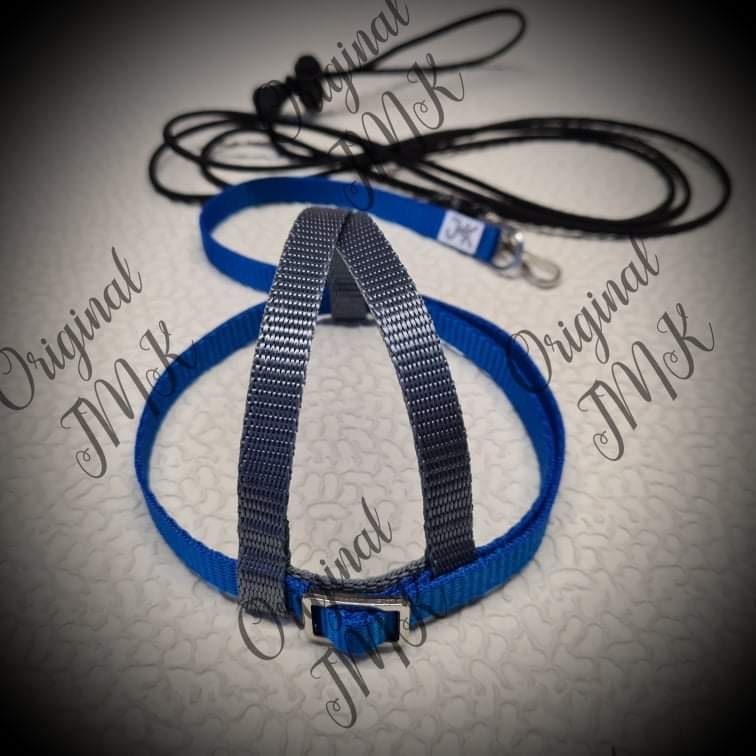 JMK Harness & Leash - Large (600g - 1000g) - Color: Light Blue