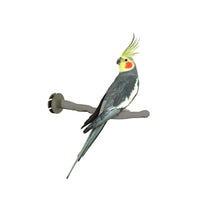 Heated Thermo Perch - Small