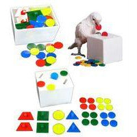 Teach Box & Bank - Small