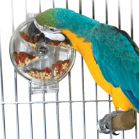 Foraging Wheel