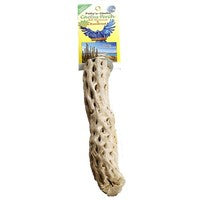 Cholla Cactus Perch -12" - Large