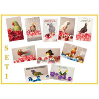 Festive Parrot Christmas Cards - Set 1